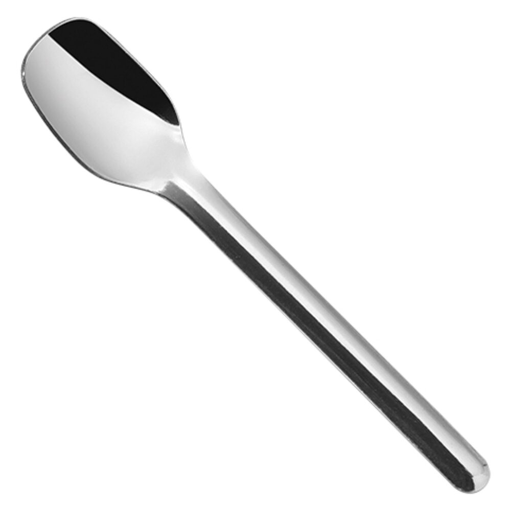 Emga Theelepel | Rvs | Per Stuk | Lengte 120mm