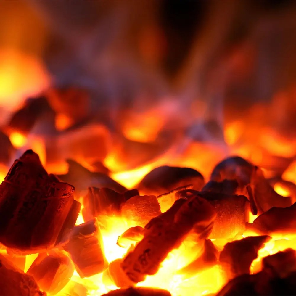 Diamond Houtskooloven | 180°c/350°c | Productie 60kg/u | 706x613x690(h)mm