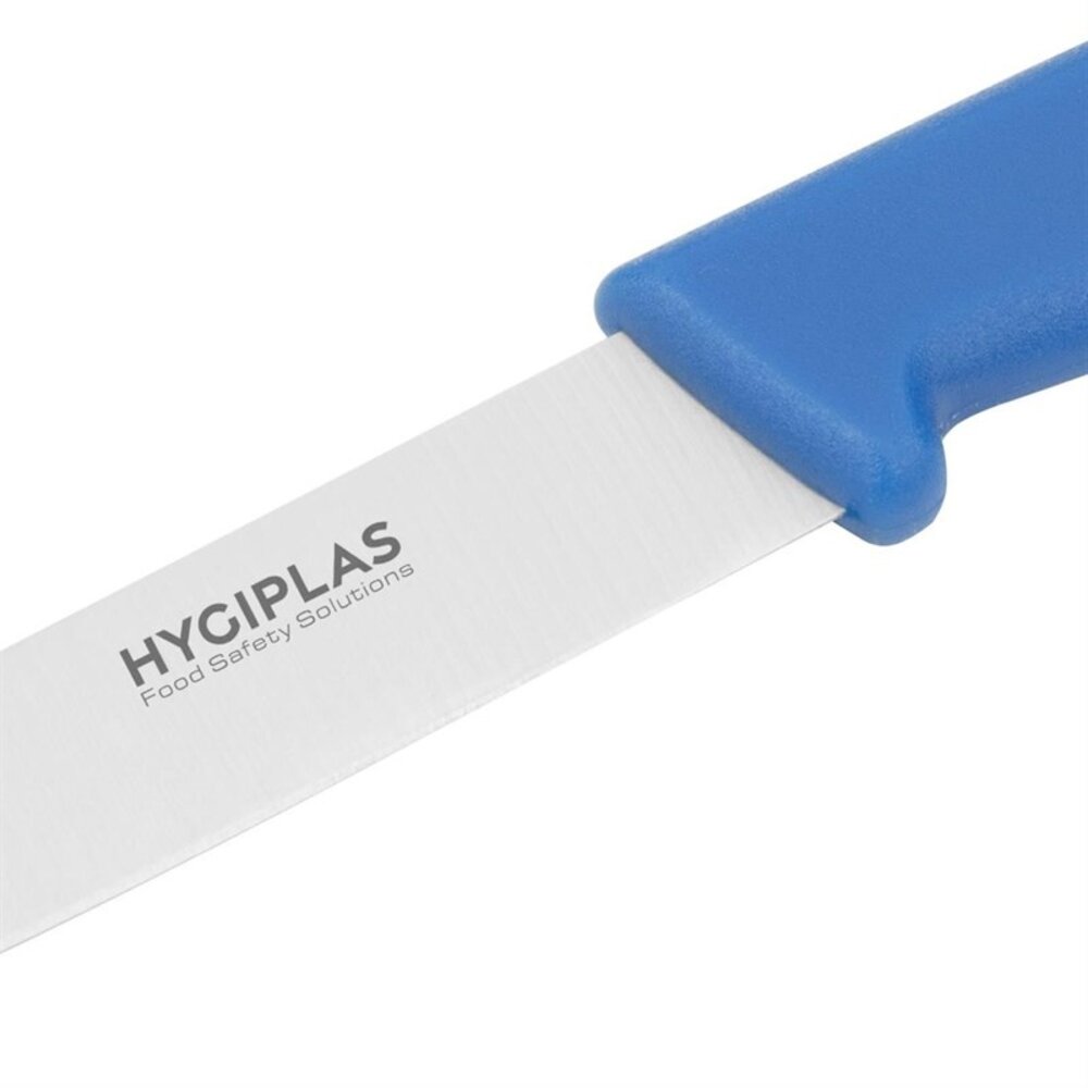 Hygiplas Officemes | Rvs | Blauw (vis) | Lengte 180mm