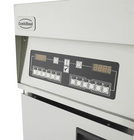Elektrische Friteuse 1X 25l