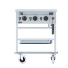 Bain-marie Trolley 3/1
