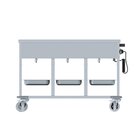 Bain-marie Trolley 3/1