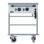 Bain-marie Trolley 2/1