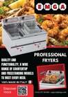 Friteuse 12l