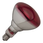 Warmtelamp 250w