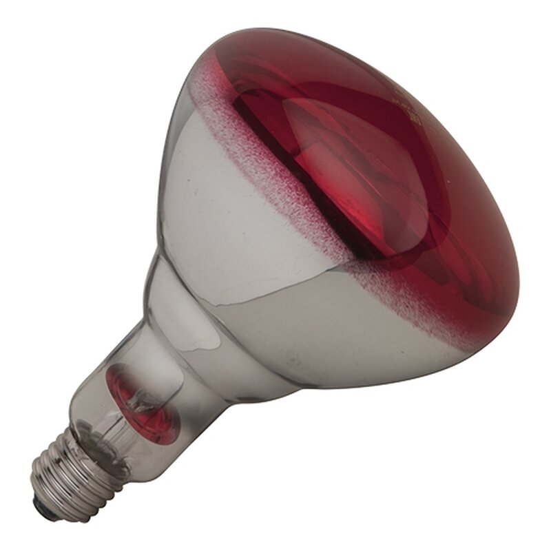 Warmtelamp 250w