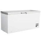 Saro Diepvrieskist Model BD 501 S