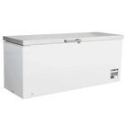 Saro Diepvrieskist Model BD 601 S