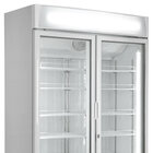 Saro Vrieskast, Ventilator Koeling, 2 Glasdeuren,d 800