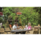 Terras-verwarmer St2000 E | 2kw | Trekschakelaar | 550x500x2100(h)mm