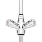 Voorspoeldouche | Handdouche (flexibele Hals) + Middenuitloop | Mengkraan | 1-gats | 400x1050(h)mm