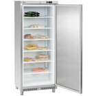 Vrieskast | 600l | Rvs | -15°c/-22°c | Statisch | 780x742x1870(h)mm