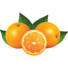 Fruitpers Met Hefboom "chrome"