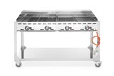 Hendi Green Fire Met 4 Branders