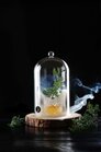 Hendi Glazen Stolp Met Ventilatieopening