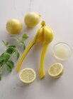 Hendi Citruspers
