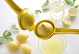 Hendi Citruspers