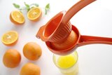 Hendi Citruspers