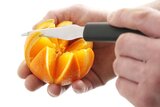 Hendi Citrusschiller