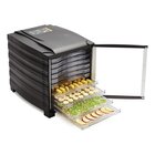 Buffalo Droogoven | 10 Roosters 29,5x38cm | 800w | 362x480x415(h)mm