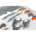 Polar Viskoeltoonbank | G-serie | +2°c/+12°c | Statisch | 915x890x560(h)mm