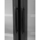 Polar Vrieskast | G-serie | 744l | Zwart | -18°c/-22°c | Geforceerd | Draaideuren | Wielen (geremd) | Rgb Led | 1220x764x1963(h)mm
