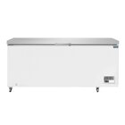 Polar Vrieskist | G-serie | Wit/rvs | 600l | -18°c/-25°c | Statisch | Kanteldeksel | 2035x730x970(h)mm