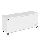 Tefcold Vrieskist | Cf-sl | Wit | 660l | -14°c/-24°c | Statisch | Kanteldeksel | Wielen (geremd) | 2060x716x903(h)mm