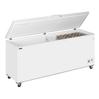 Tefcold Vrieskist | Cf-sl | Wit | 660l | -14°c/-24°c | Statisch | Kanteldeksel | Wielen (geremd) | 2060x716x903(h)mm
