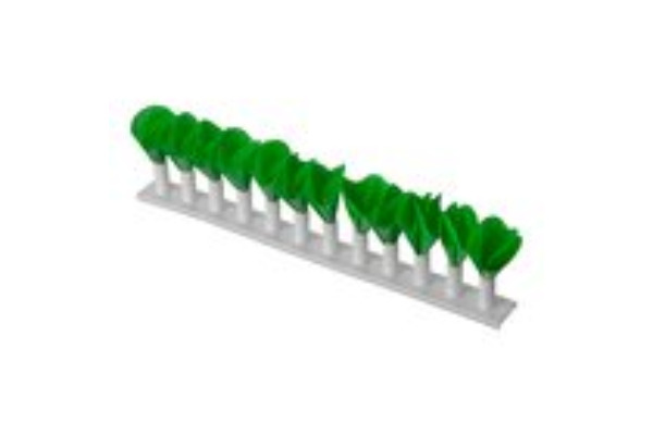 Toonbank Decoratie