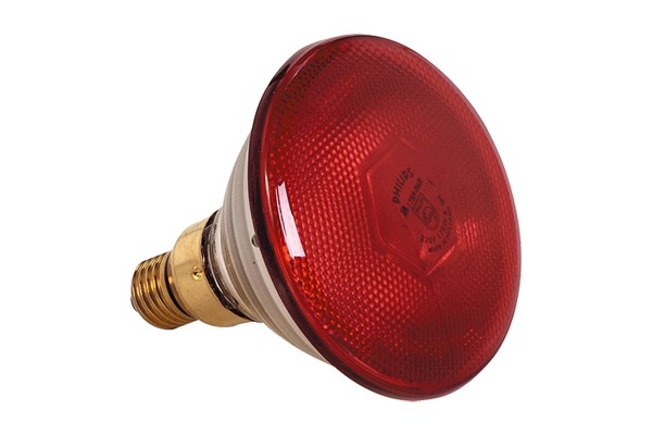 Losse Warmhoudlampen